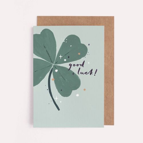 Good Luck Greeting Card